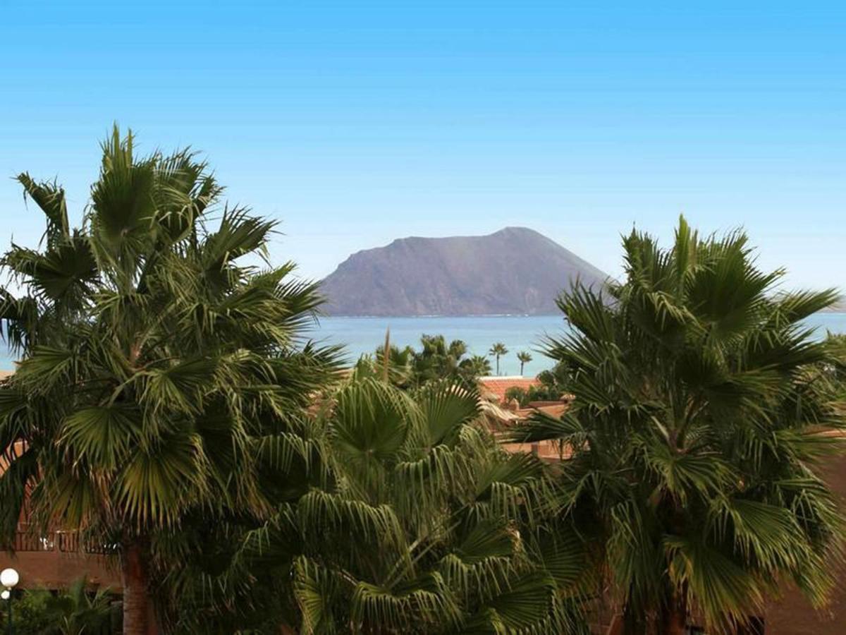 Family Apartment 1 Bedroom With Pool View 2 - Oasis Duna Resort 科拉雷侯 外观 照片